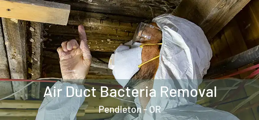  Air Duct Bacteria Removal Pendleton - OR