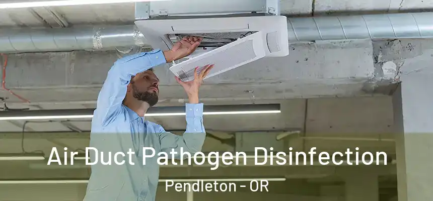 Air Duct Pathogen Disinfection Pendleton - OR