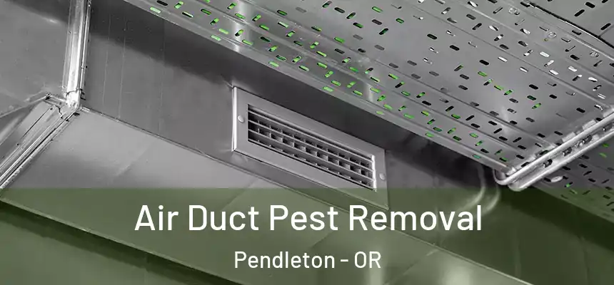  Air Duct Pest Removal Pendleton - OR