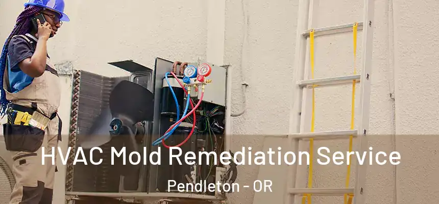  HVAC Mold Remediation Service Pendleton - OR