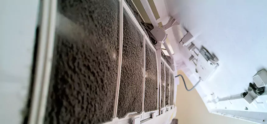 Preventive Air Duct Bacteria Removal in Pendleton