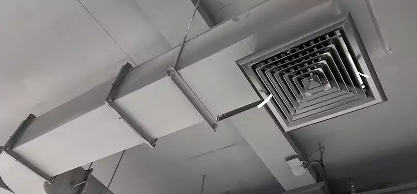 Restorative Allergy Relief Vent Cleaning – Coil, Blower & Housing Detail in Pendleton