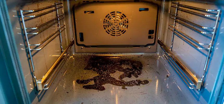 Our Dryer Vent Mold Cleaning Services in Pendleton, OR