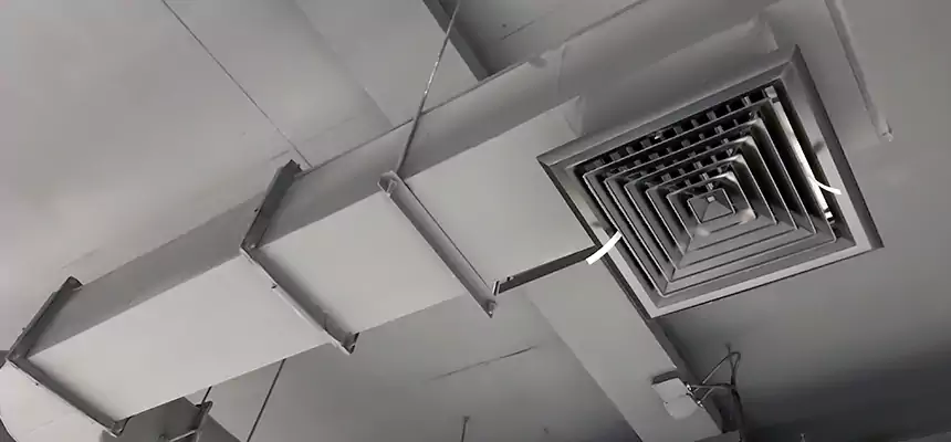 Our Pest Removal From Ducts Services in Pendleton, OR