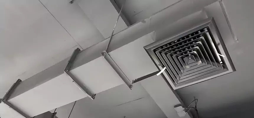 Our Rodent Droppings In Vents Services in Pendleton, OR