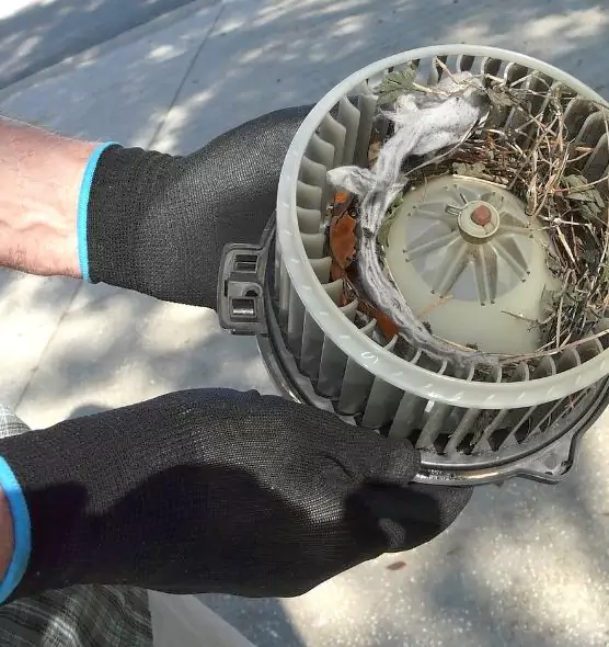 About Air Duct Mice Removal in Pendleton, OR