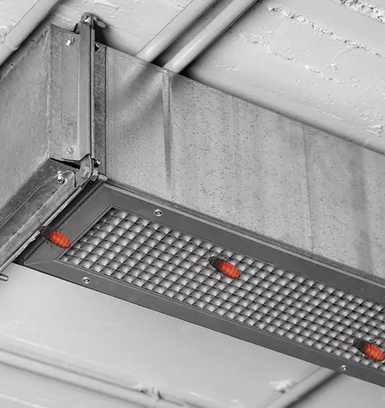 Affordable Insect Removal from Air Ducts in Pendleton, OR