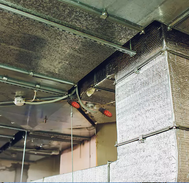 Why Homeowners & Businesses Trust Us in Pendleton, OR?