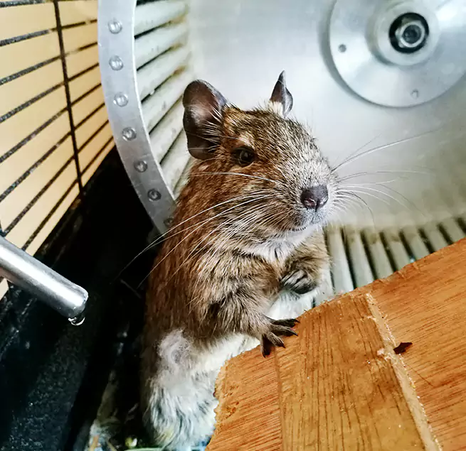 Why Homeowners & Businesses Trust Us Pendleton, OR?